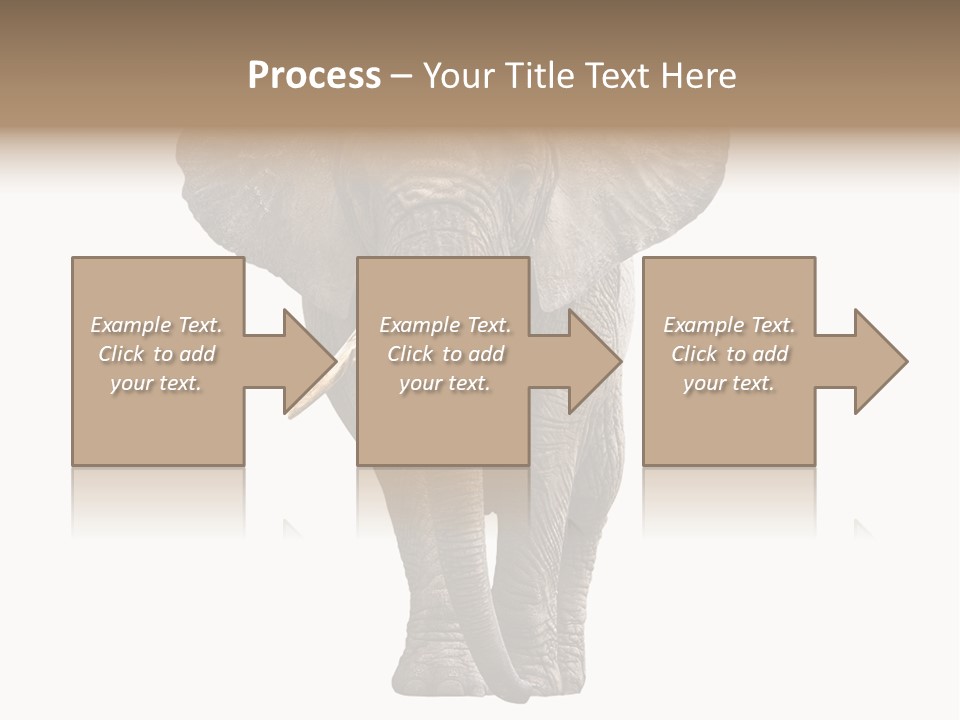 Ivory Single Standing PowerPoint Template