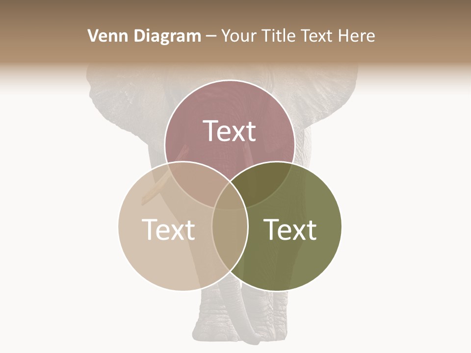 Ivory Single Standing PowerPoint Template