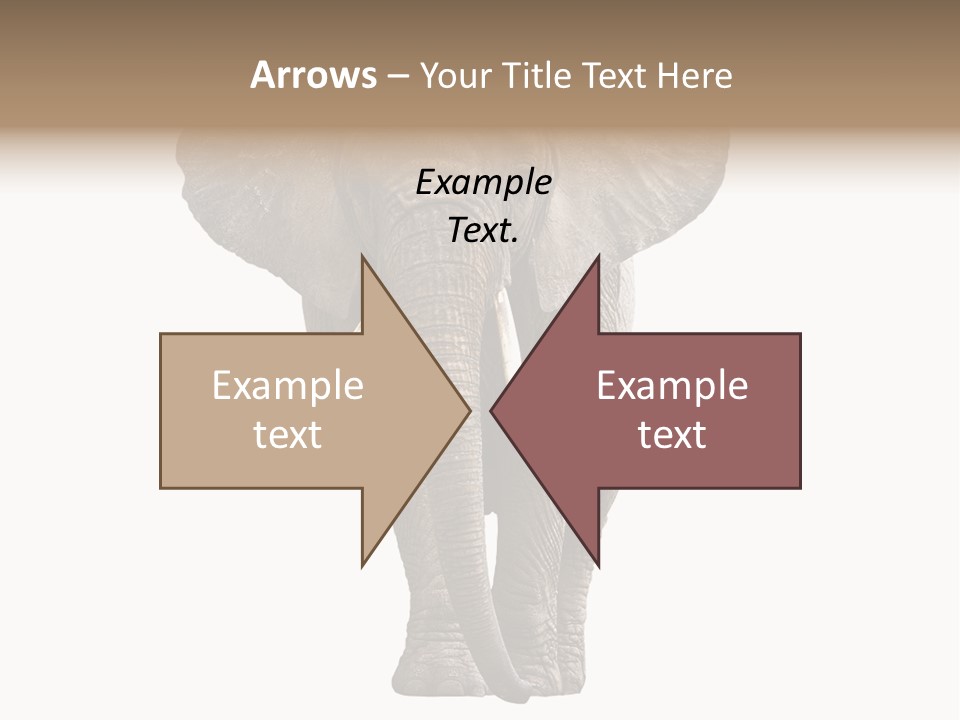 Ivory Single Standing PowerPoint Template