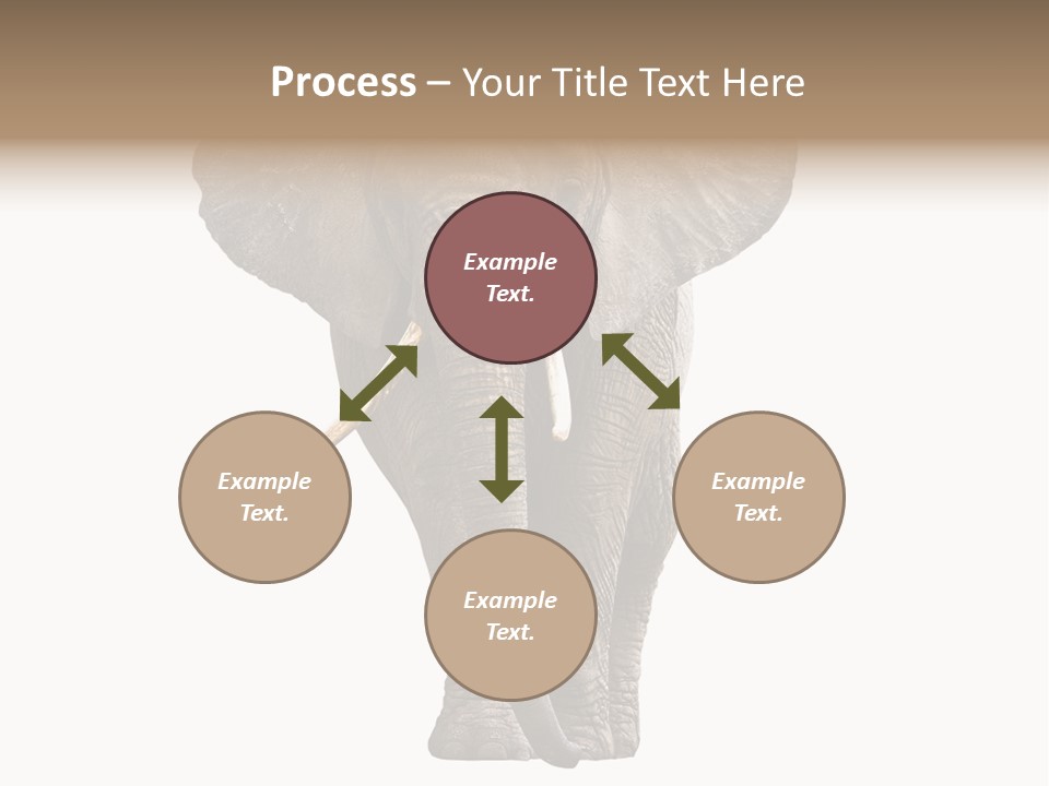 Ivory Single Standing PowerPoint Template