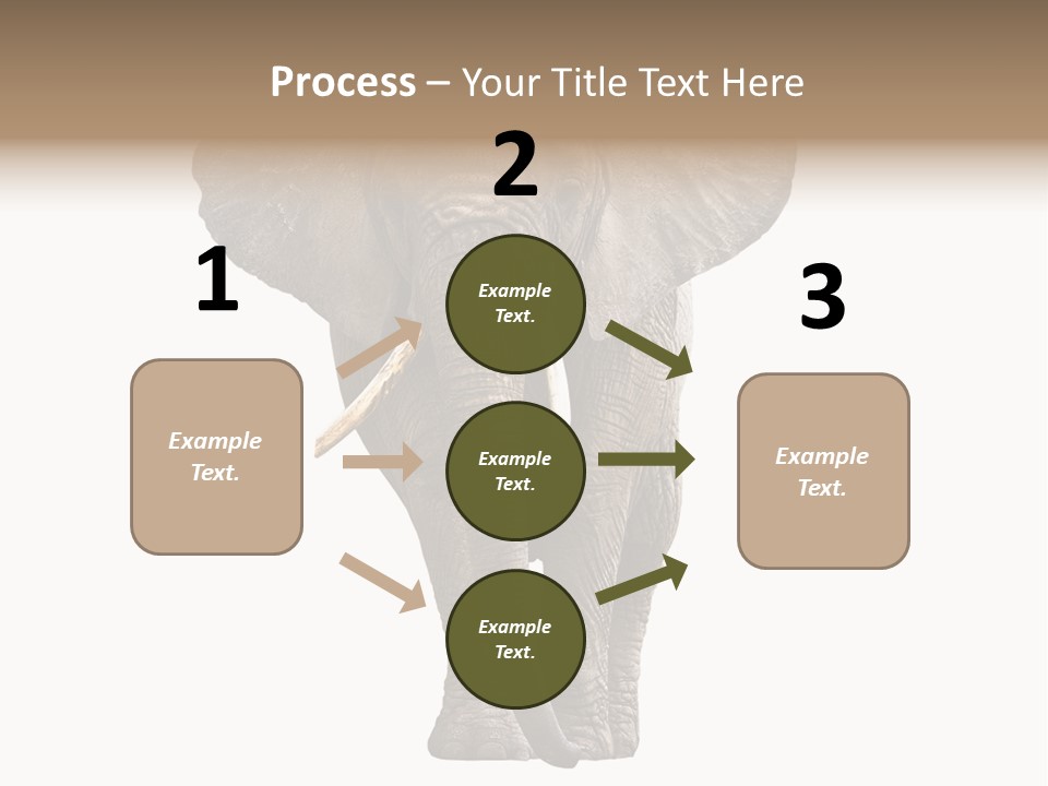 Ivory Single Standing PowerPoint Template
