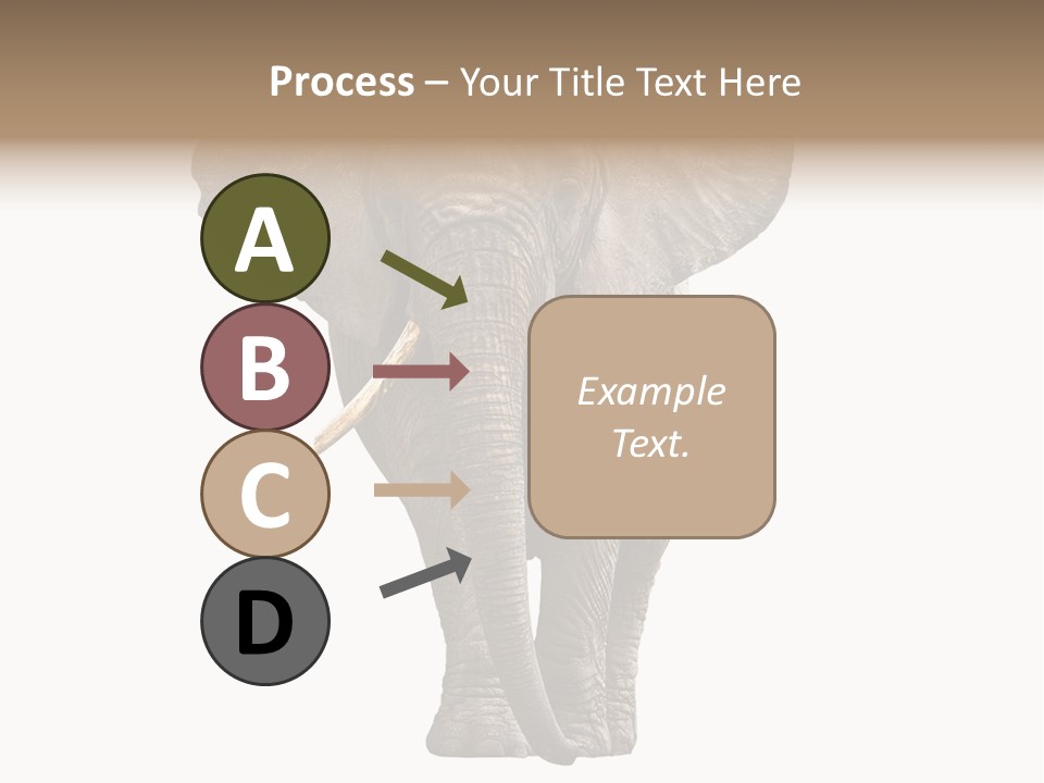 Ivory Single Standing PowerPoint Template