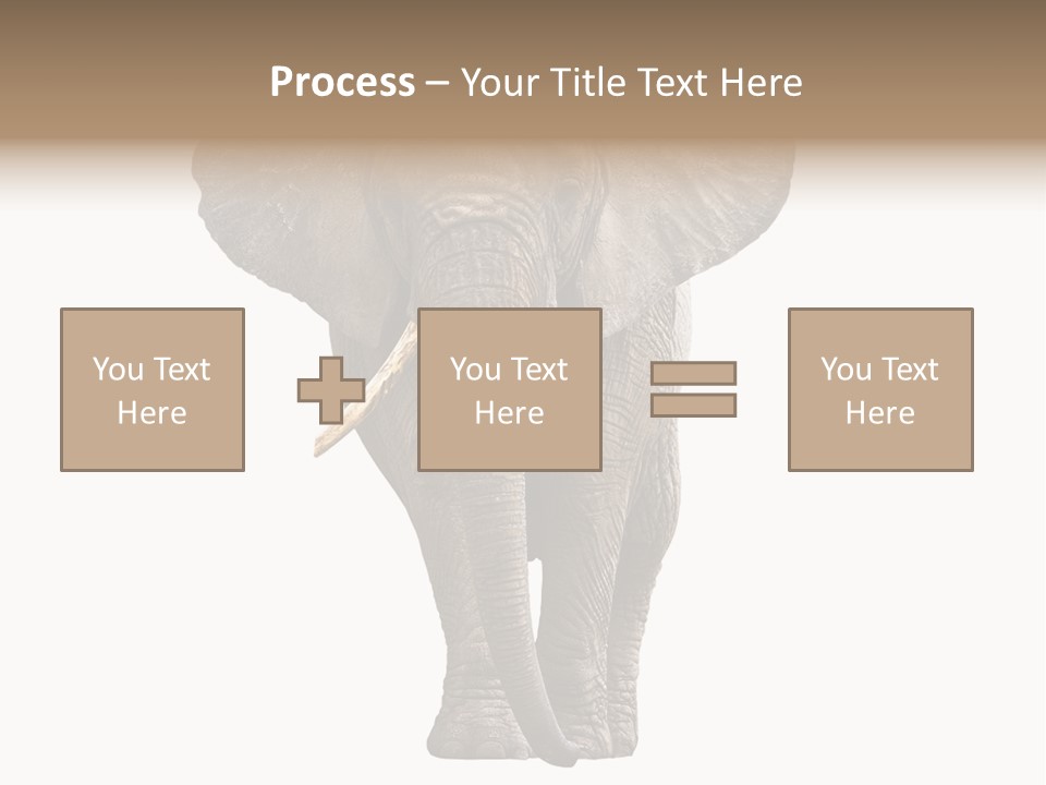 Ivory Single Standing PowerPoint Template