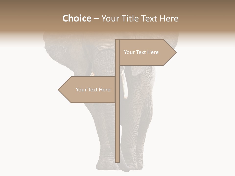 Ivory Single Standing PowerPoint Template