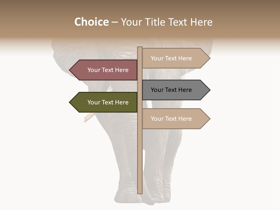 Ivory Single Standing PowerPoint Template
