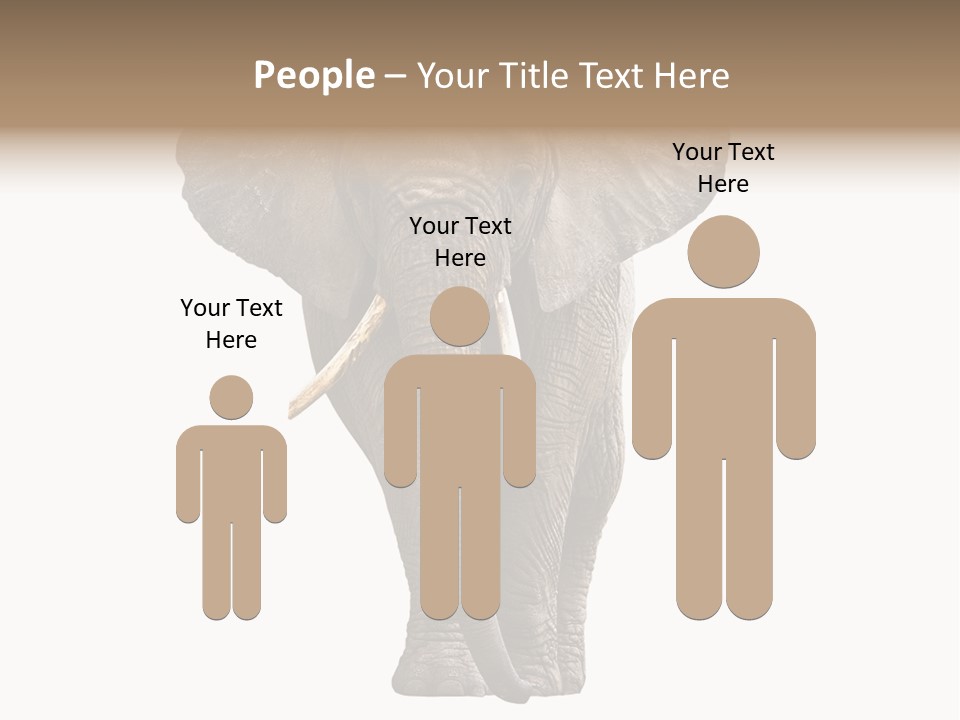 Ivory Single Standing PowerPoint Template