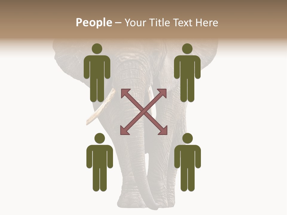 Ivory Single Standing PowerPoint Template