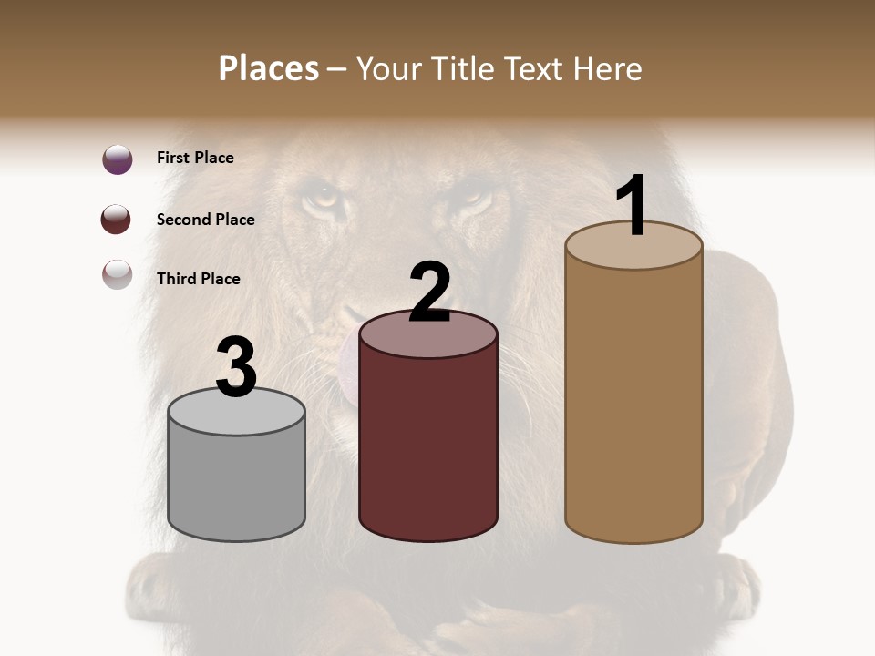 Animal Themes Mane Laying Down PowerPoint Template