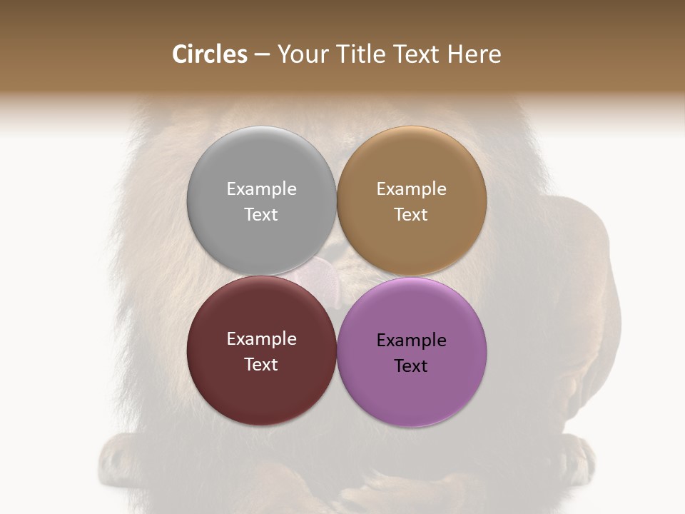 Animal Themes Mane Laying Down PowerPoint Template