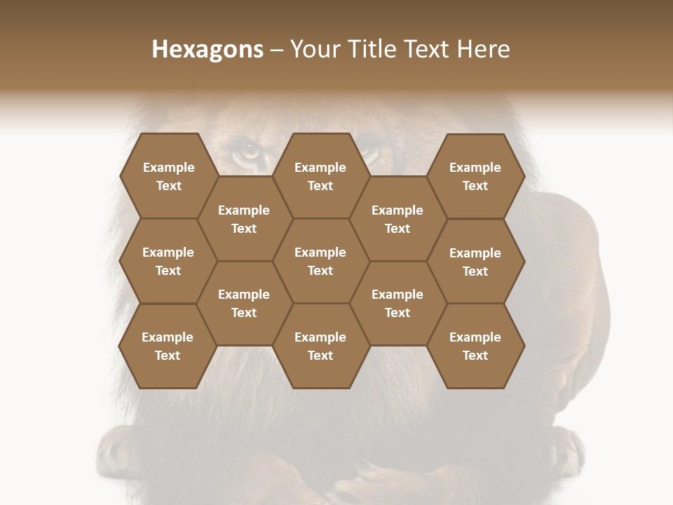 Animal Themes Mane Laying Down PowerPoint Template