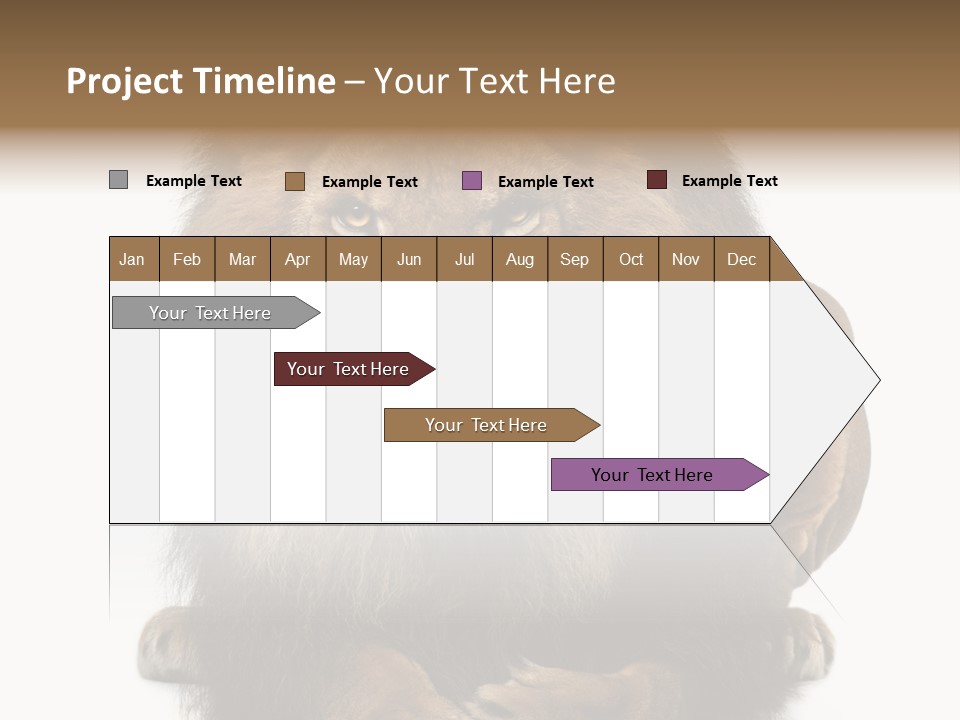 Animal Themes Mane Laying Down PowerPoint Template