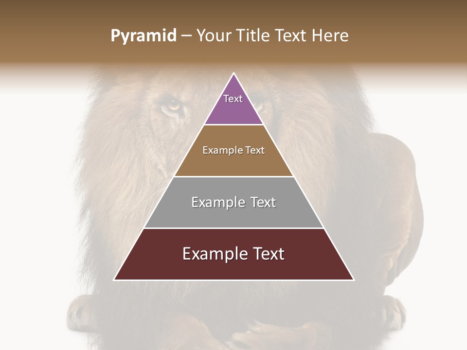 Animal Themes Mane Laying Down PowerPoint Template