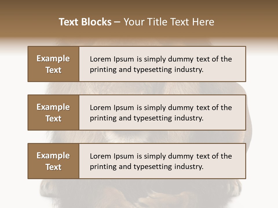 Animal Themes Mane Laying Down PowerPoint Template