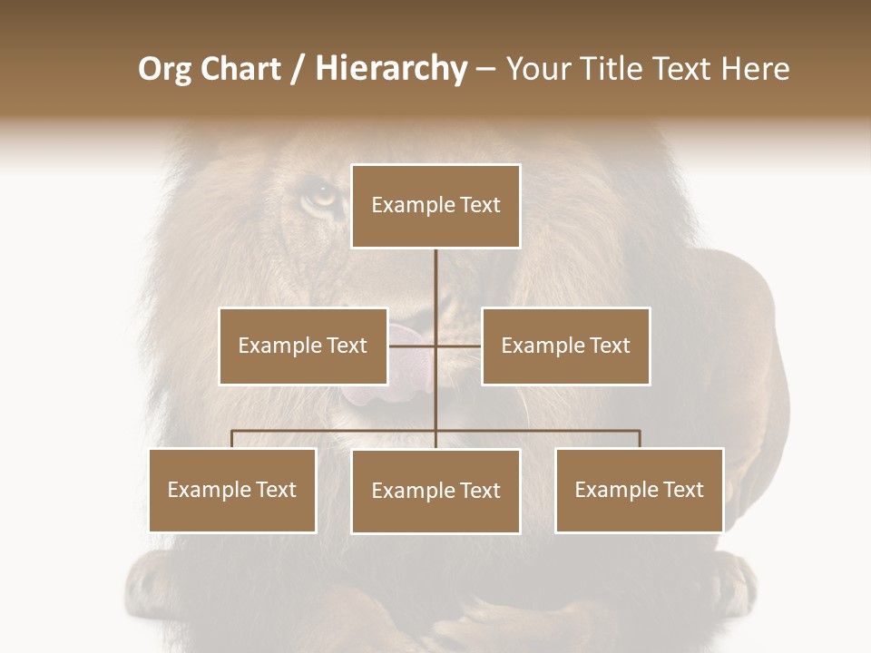 Animal Themes Mane Laying Down PowerPoint Template