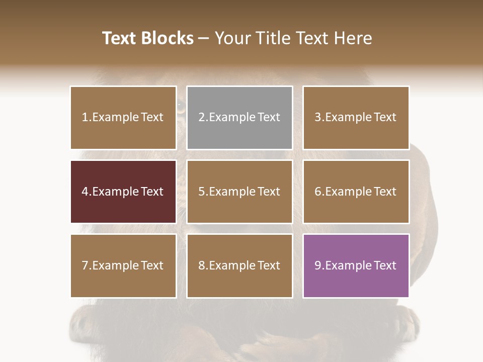 Animal Themes Mane Laying Down PowerPoint Template