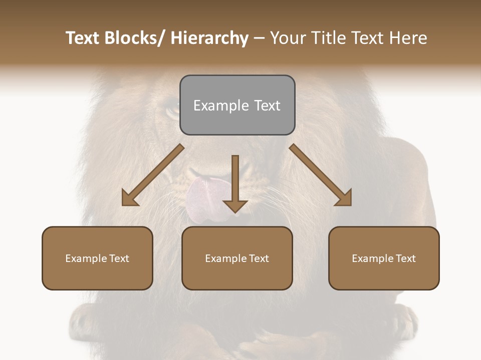 Animal Themes Mane Laying Down PowerPoint Template