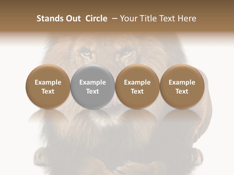 Animal Themes Mane Laying Down PowerPoint Template