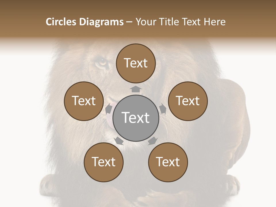 Animal Themes Mane Laying Down PowerPoint Template