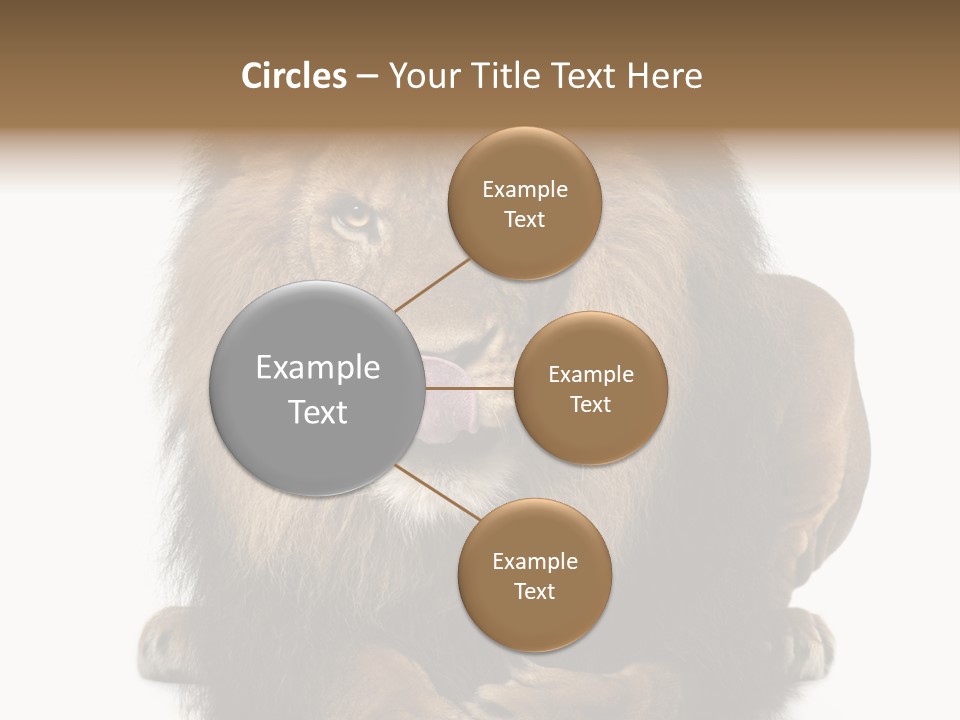 Animal Themes Mane Laying Down PowerPoint Template