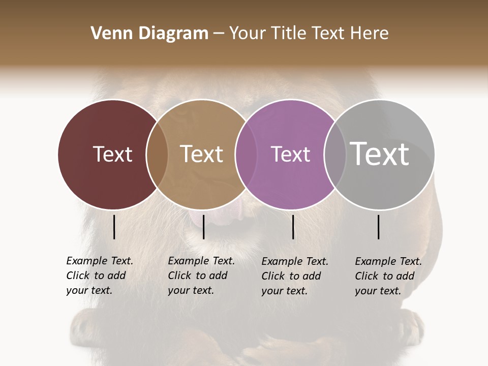 Animal Themes Mane Laying Down PowerPoint Template