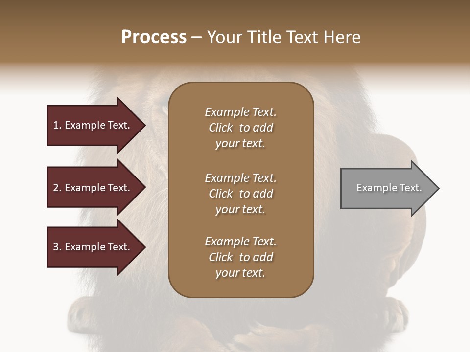 Animal Themes Mane Laying Down PowerPoint Template