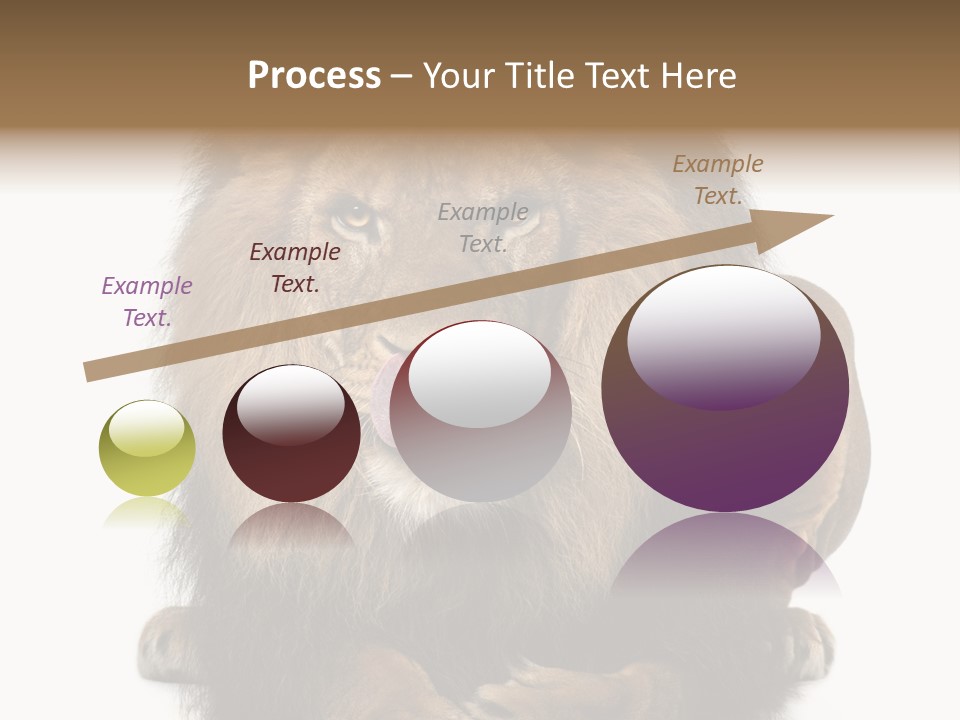 Animal Themes Mane Laying Down PowerPoint Template