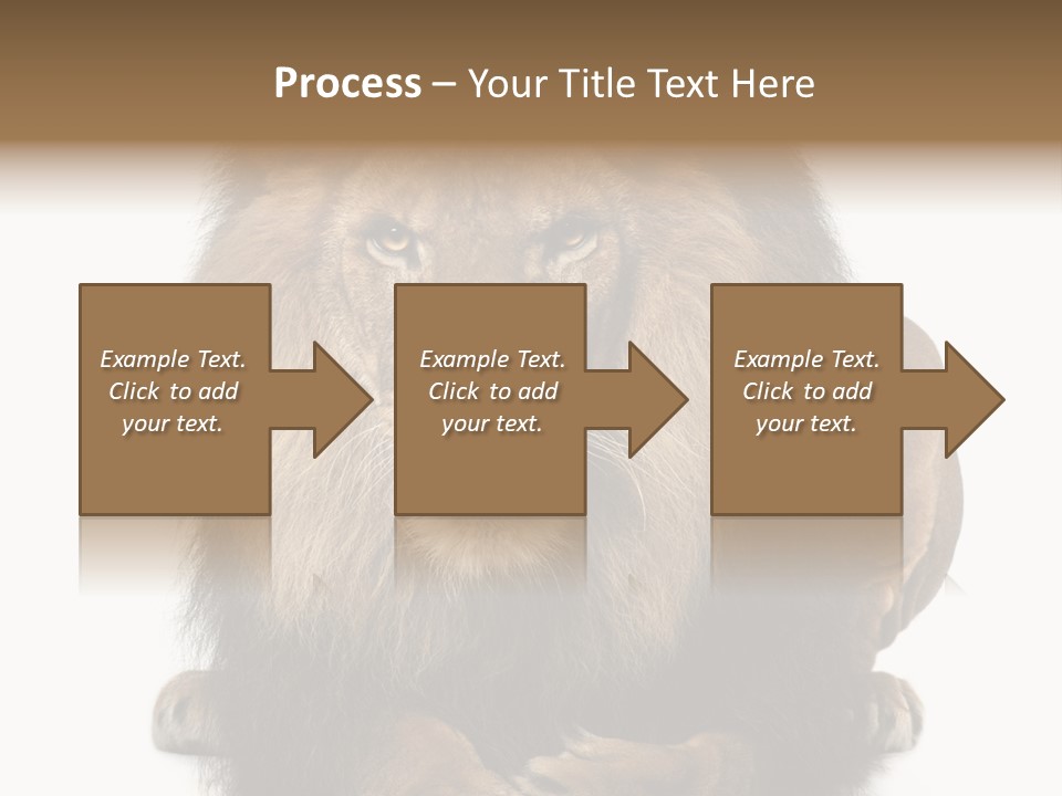 Animal Themes Mane Laying Down PowerPoint Template