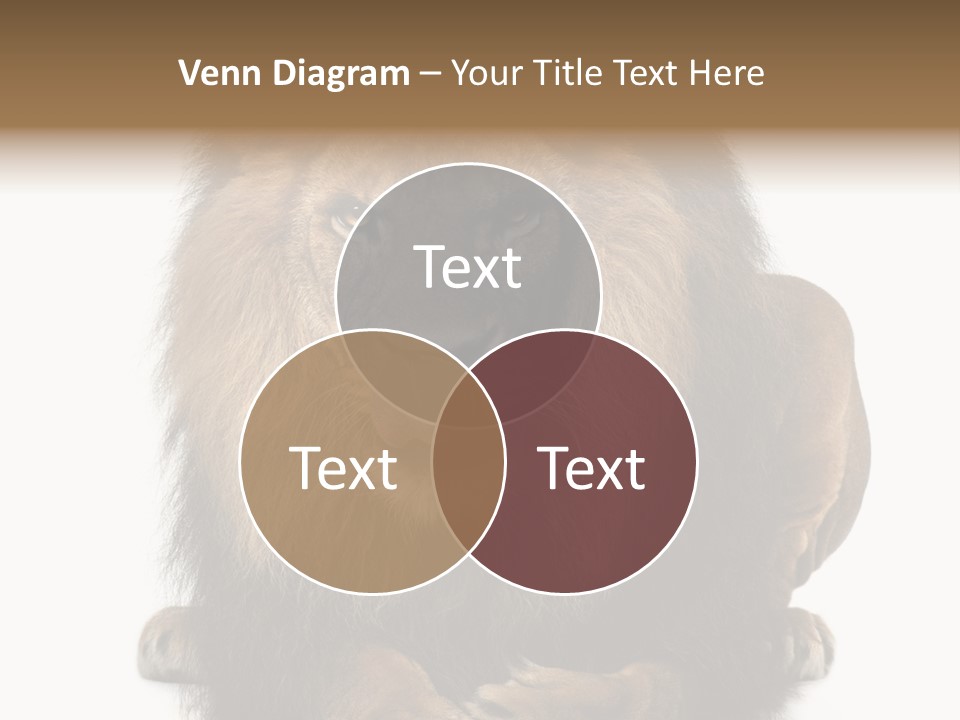 Animal Themes Mane Laying Down PowerPoint Template