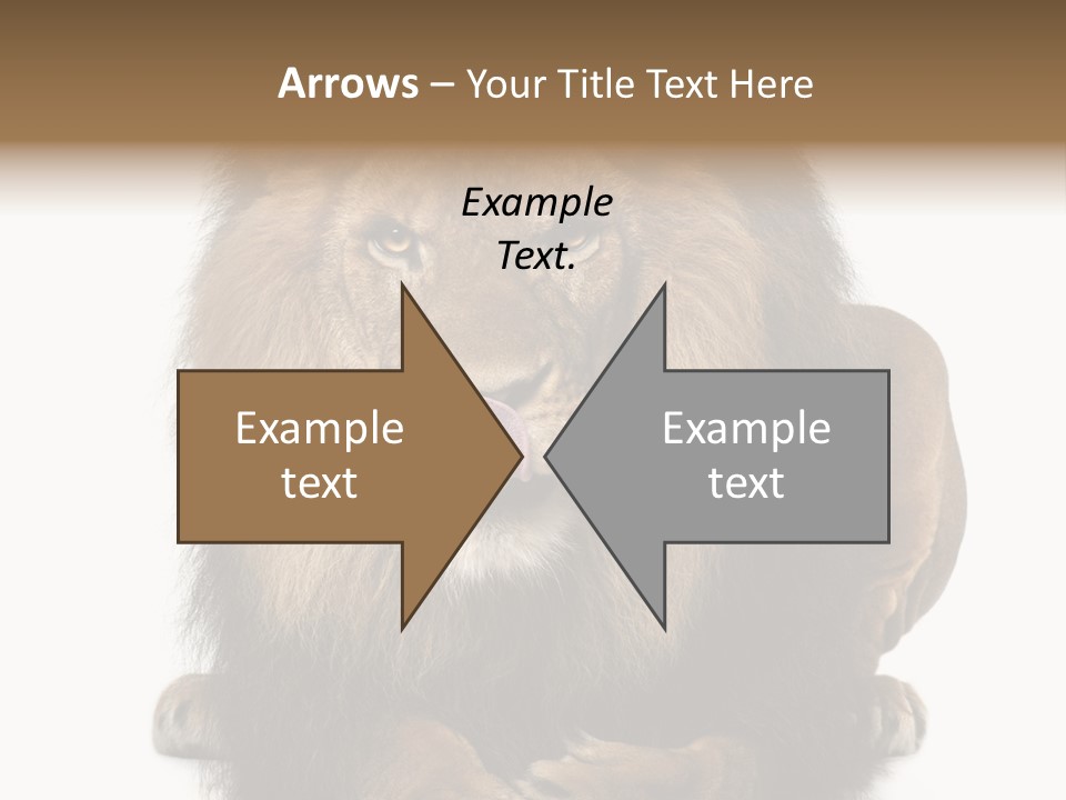 Animal Themes Mane Laying Down PowerPoint Template