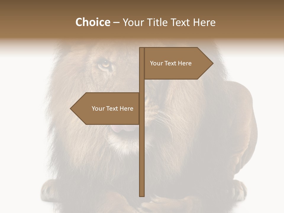Animal Themes Mane Laying Down PowerPoint Template