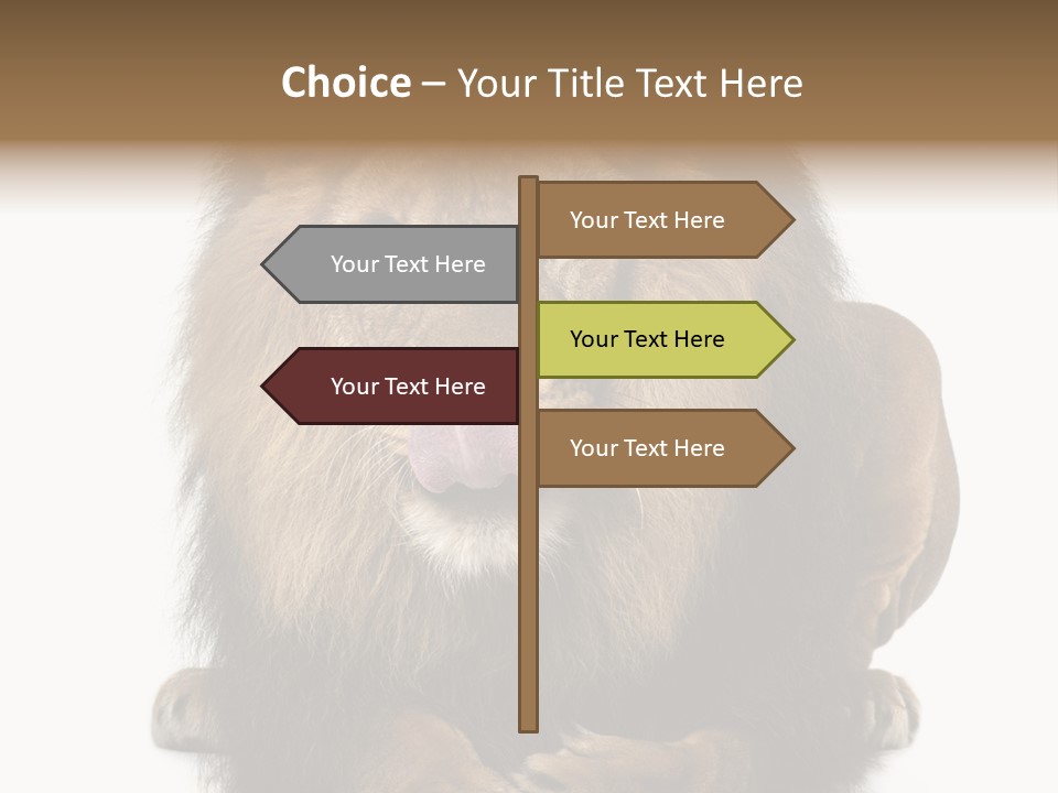 Animal Themes Mane Laying Down PowerPoint Template