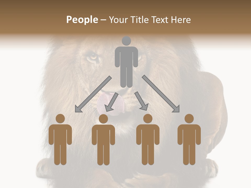 Animal Themes Mane Laying Down PowerPoint Template