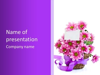 Pink White Single PowerPoint Template