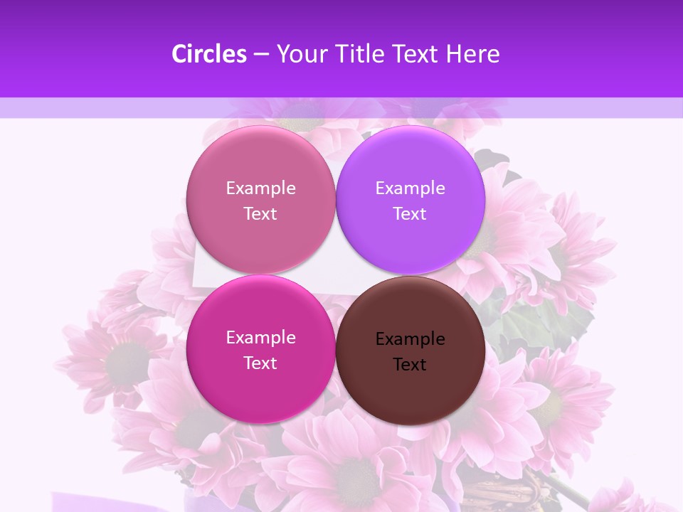 Pink White Single PowerPoint Template