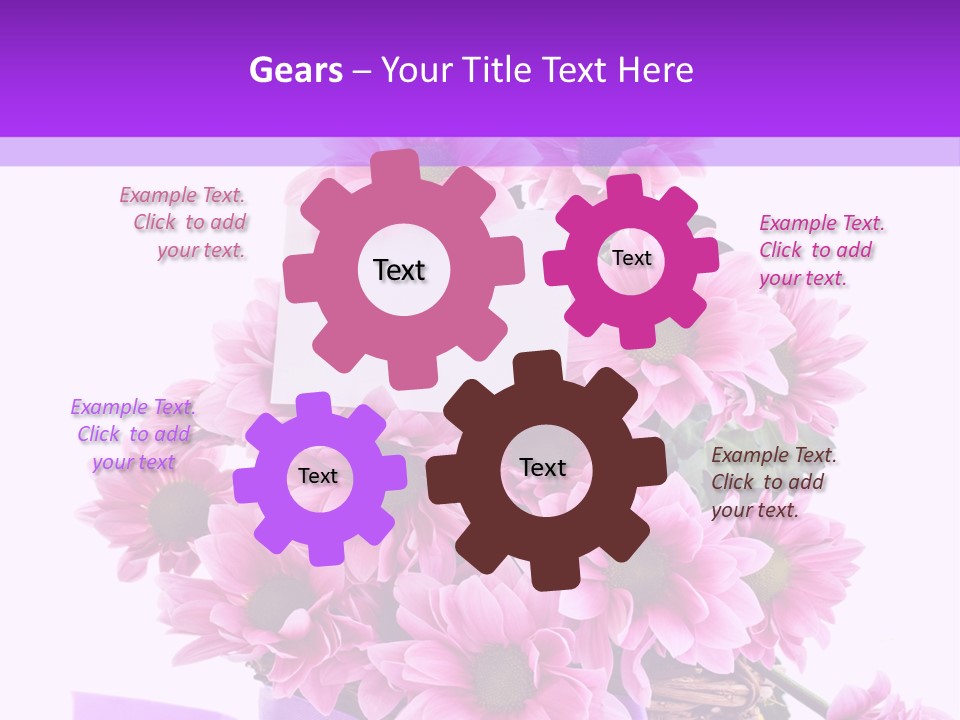 Pink White Single PowerPoint Template