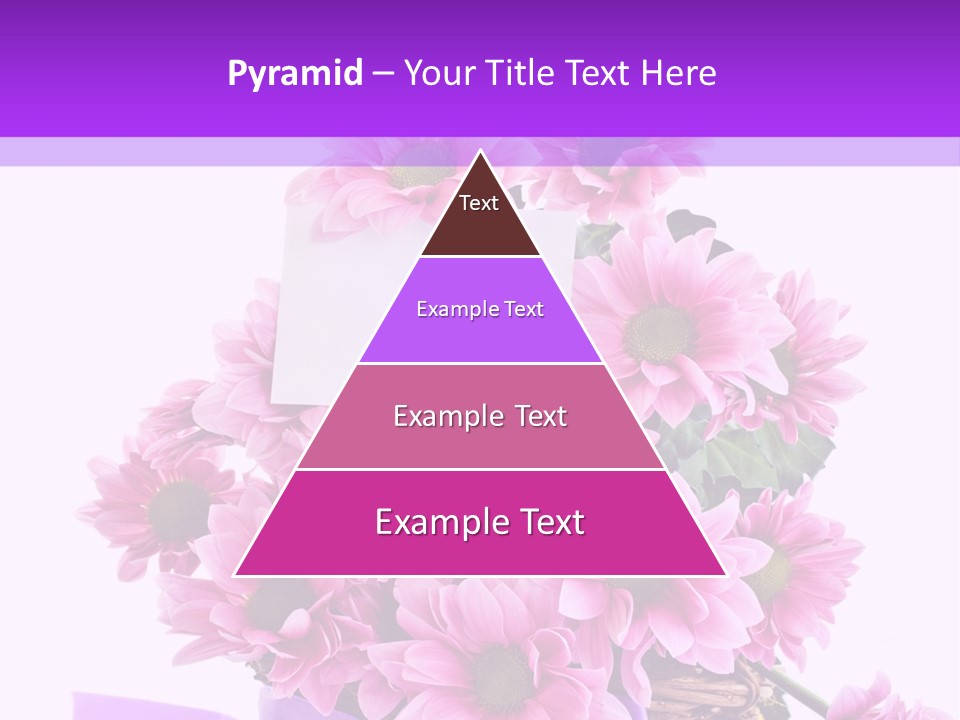 Pink White Single PowerPoint Template