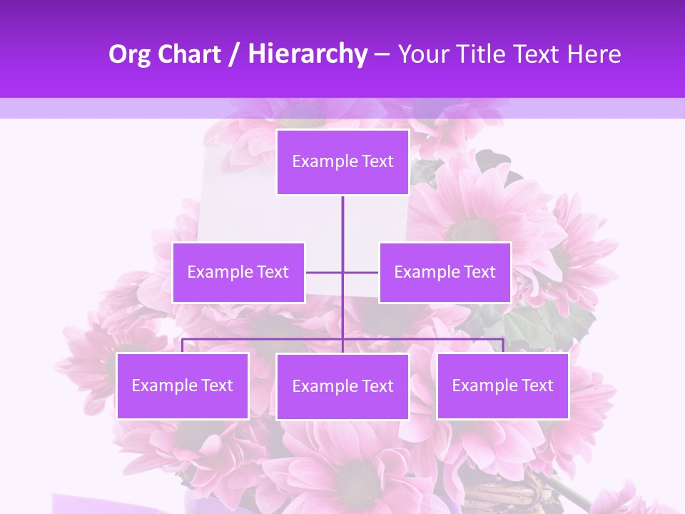 Pink White Single PowerPoint Template