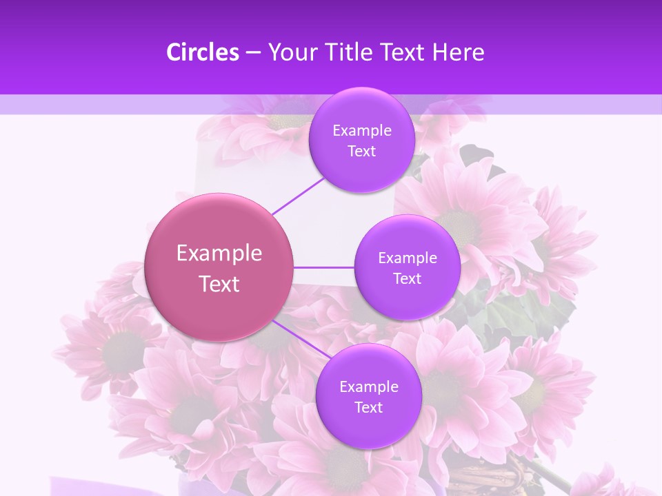 Pink White Single PowerPoint Template