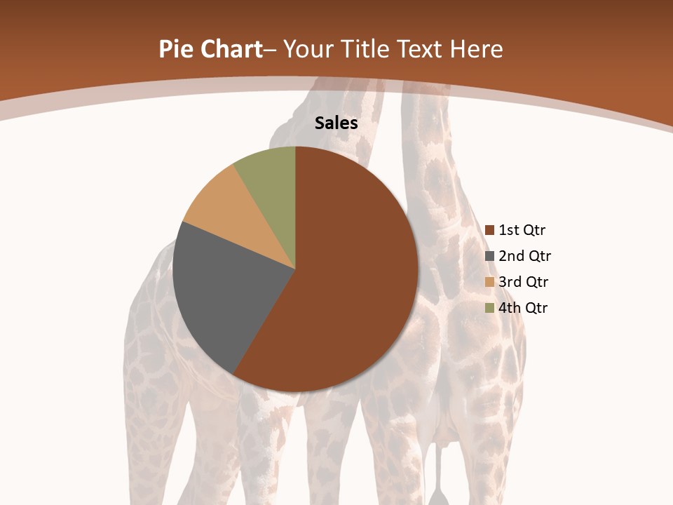 Face Profile Slim PowerPoint Template