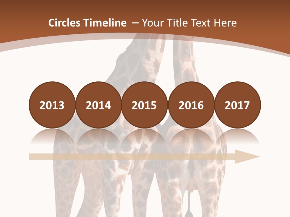 Face Profile Slim PowerPoint Template