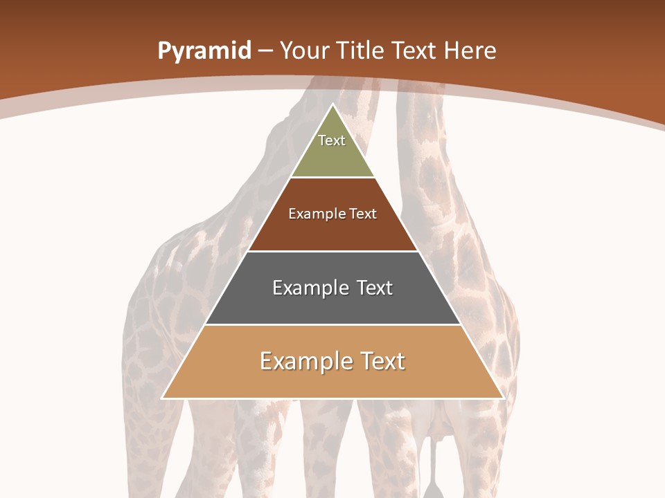 Face Profile Slim PowerPoint Template