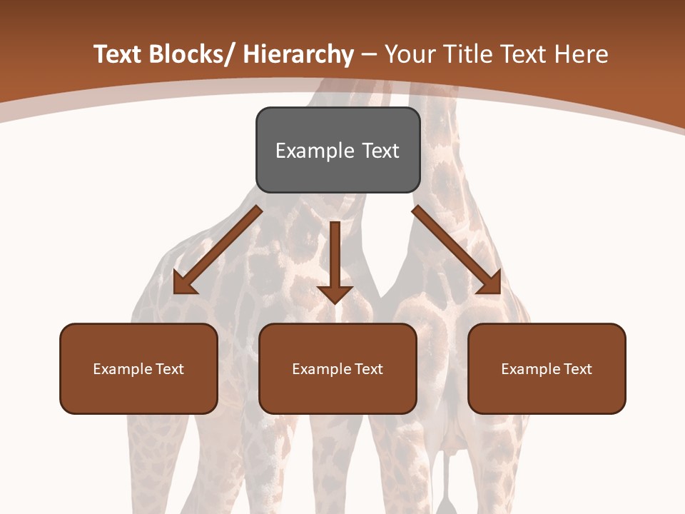 Face Profile Slim PowerPoint Template