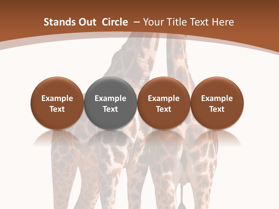 Face Profile Slim PowerPoint Template