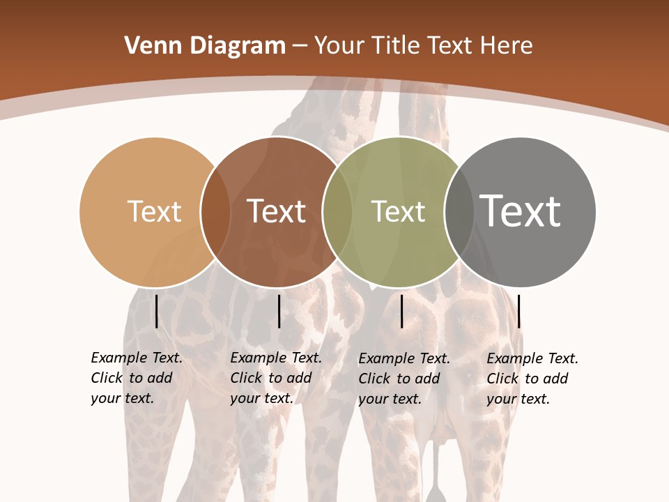 Face Profile Slim PowerPoint Template