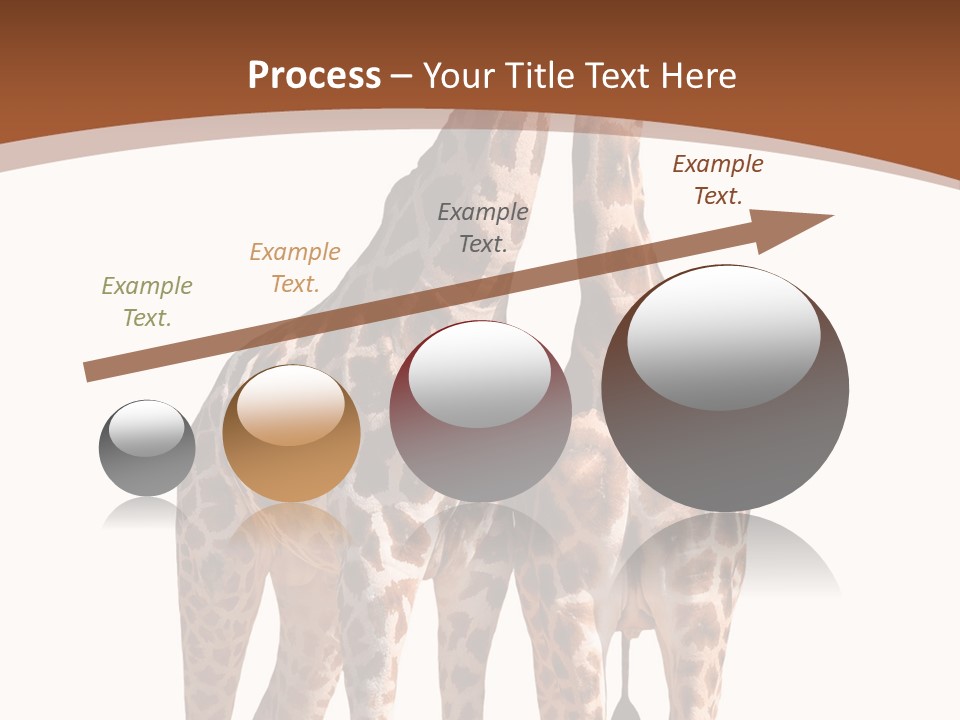 Face Profile Slim PowerPoint Template