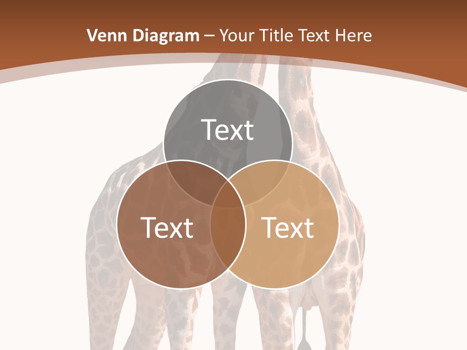 Face Profile Slim PowerPoint Template