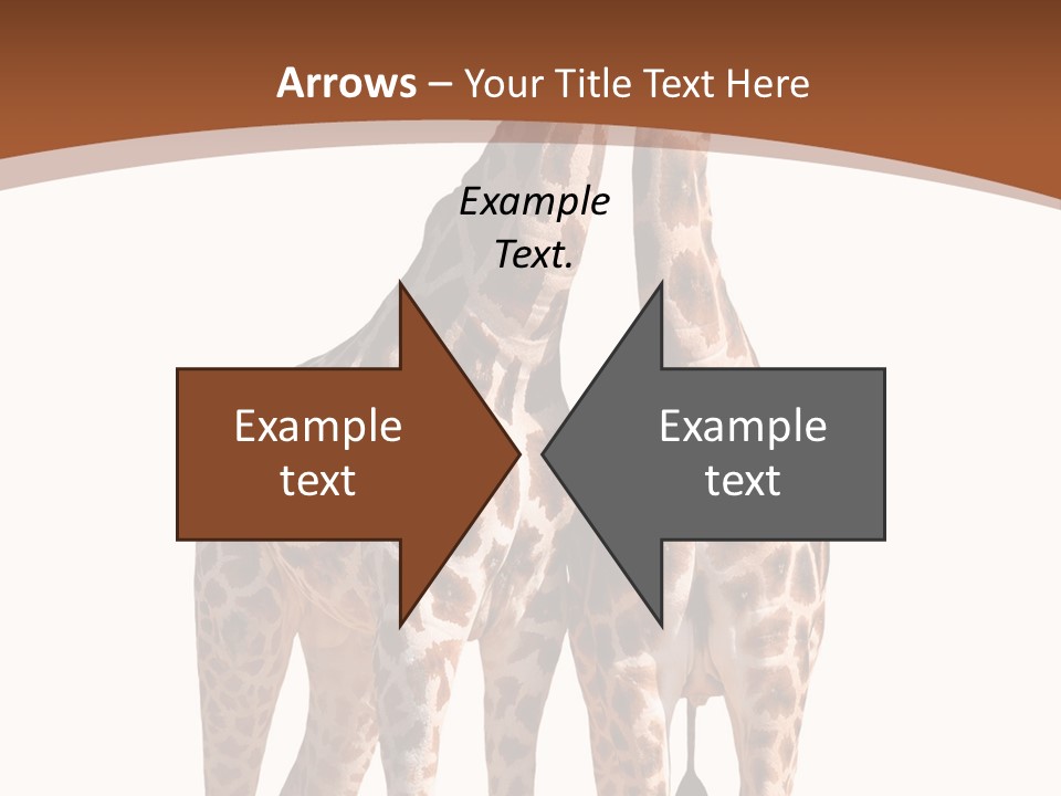 Face Profile Slim PowerPoint Template