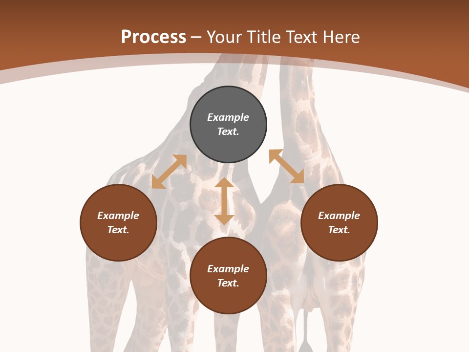Face Profile Slim PowerPoint Template