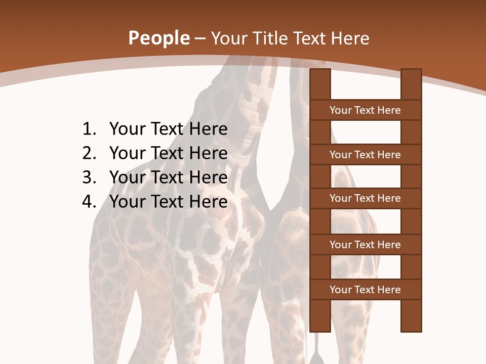 Face Profile Slim PowerPoint Template