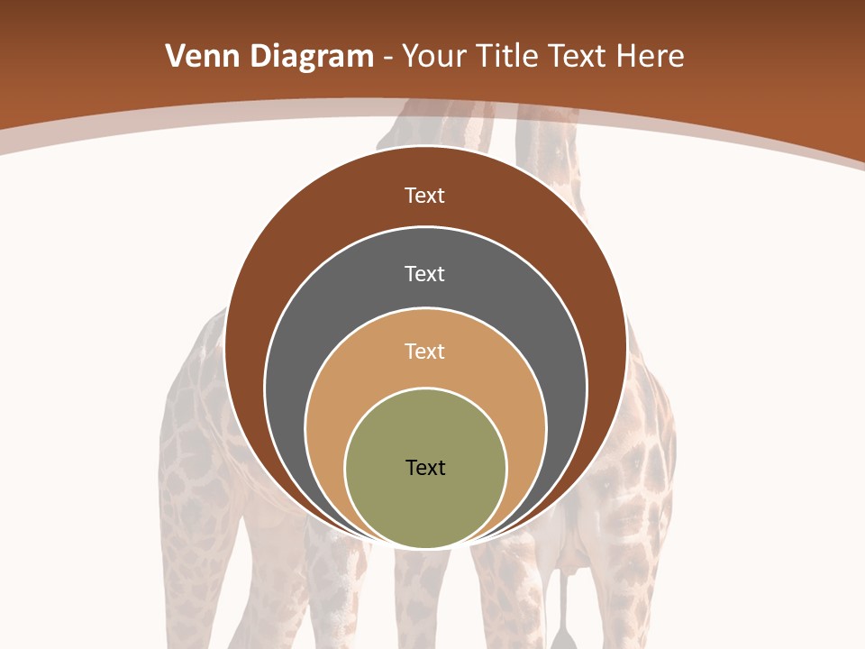 Face Profile Slim PowerPoint Template